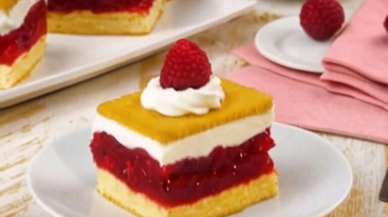 gâteau de petits-beurre aux framboises